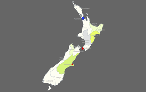 Interactive Map of New Zealand